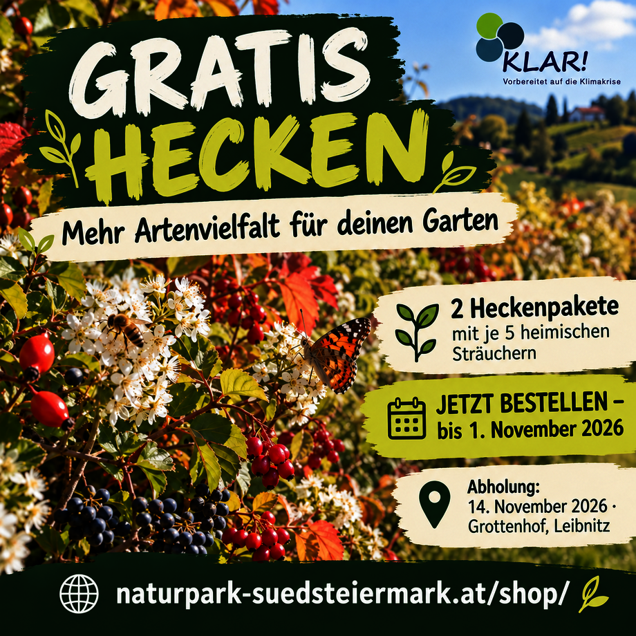 Gratis Hecken: Mehr Artenvielfalt für deinen Garten, mit Schmetterling und Biene auf blühenden Sträuchern